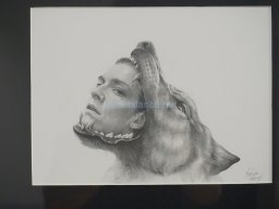 Exposición Tiempo de la Crisalida 2023